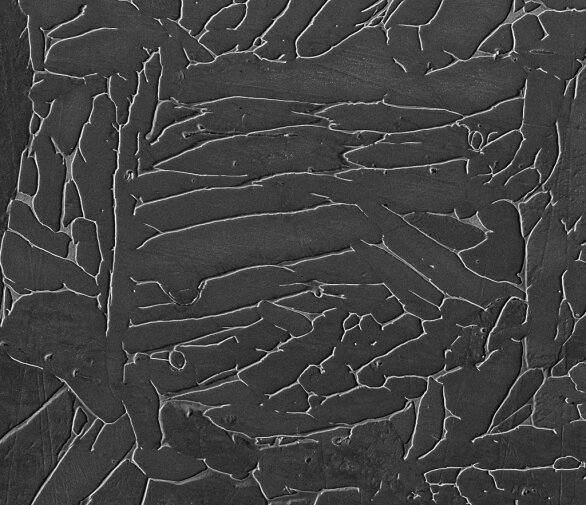 Traditional PM Microstructure(1).jpg