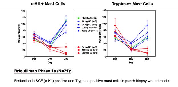A diagram of different types of mast cells Description automatically generated
