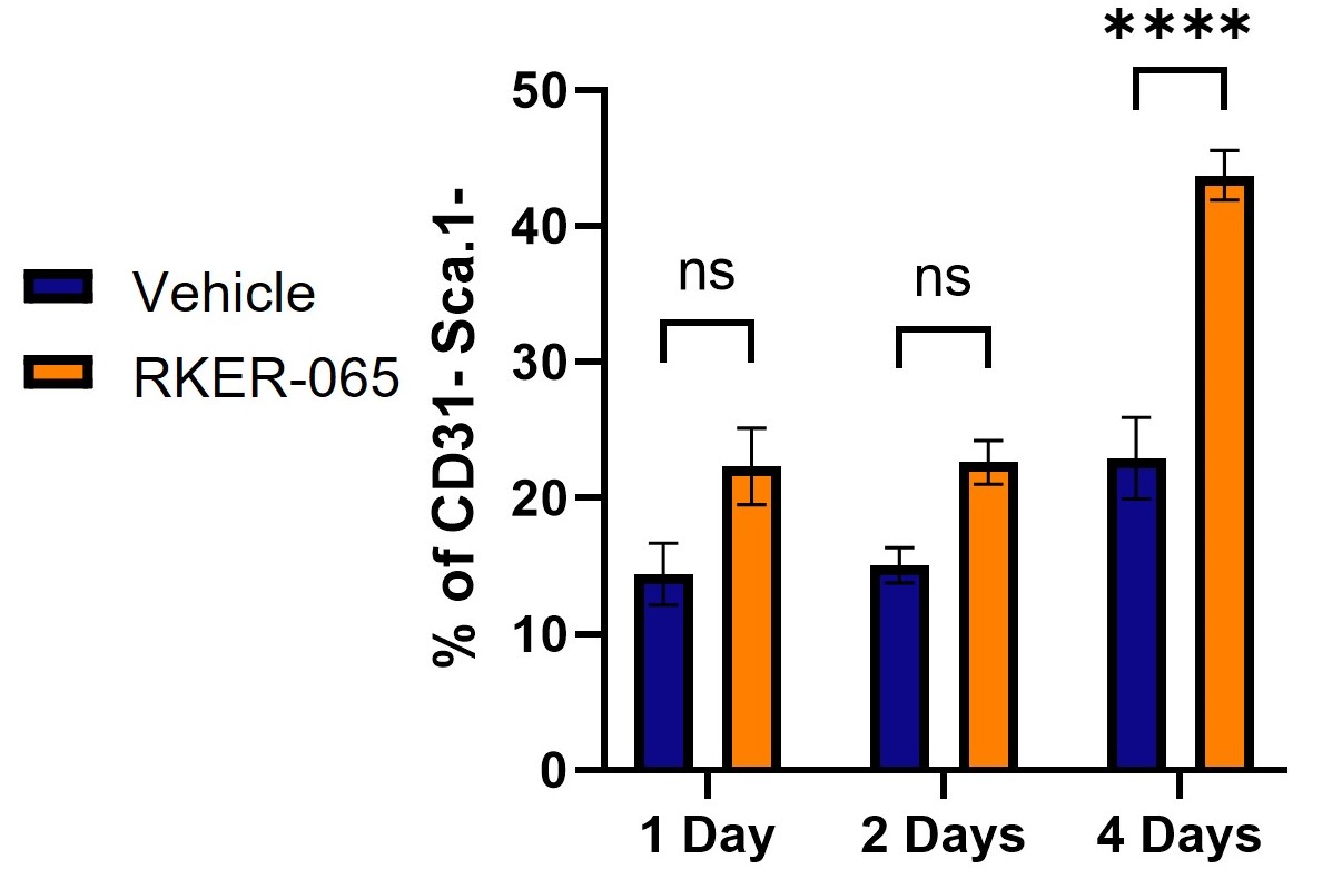 Picture15.jpg