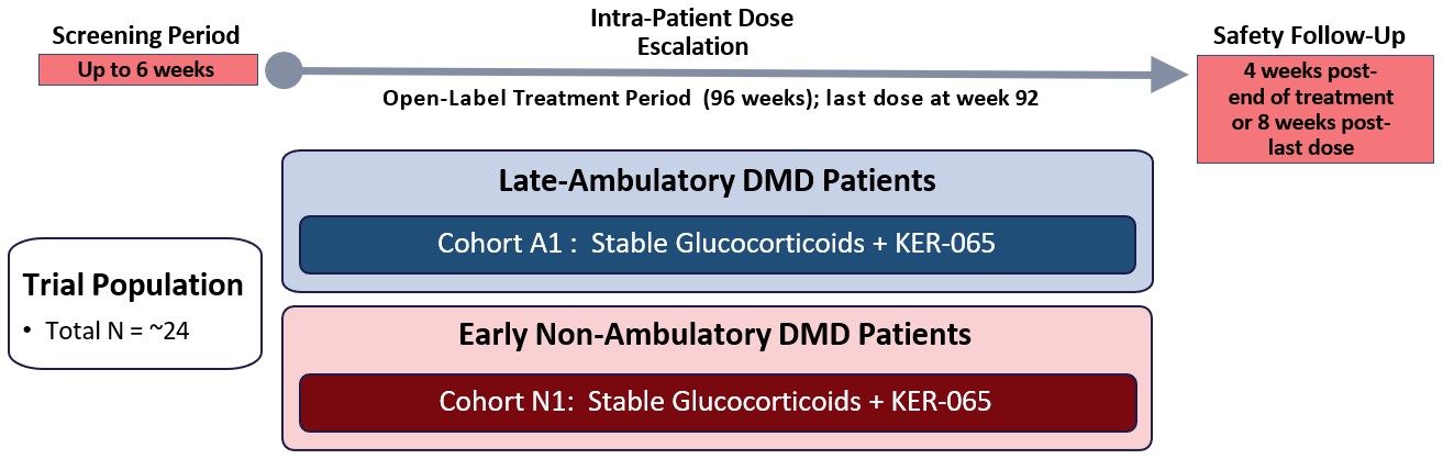 dmd trial design.jpg