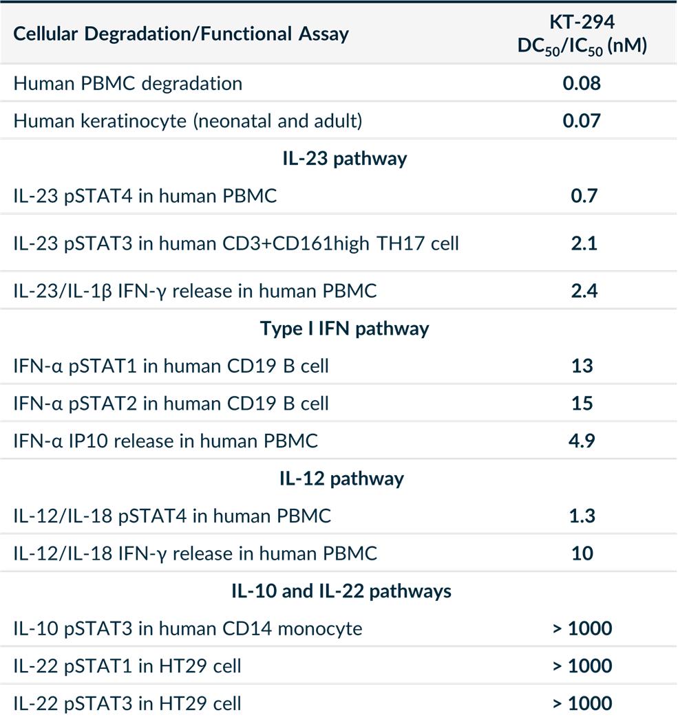 img255116984_26.jpg