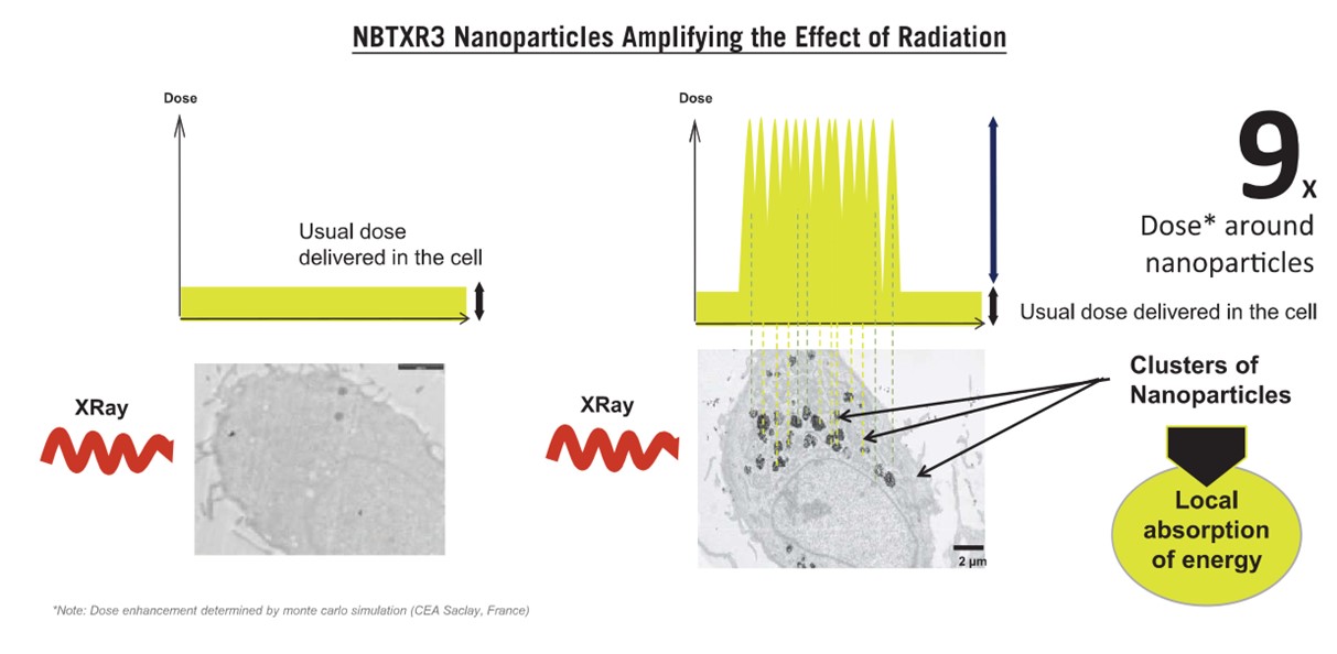 nbx-20211231_g3.jpg