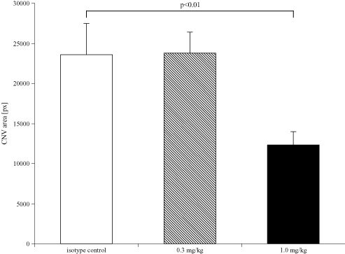 (BAR GRAPH)
