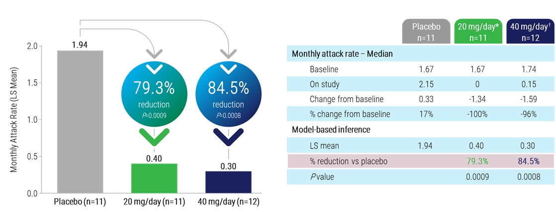 img89767255_17.jpg