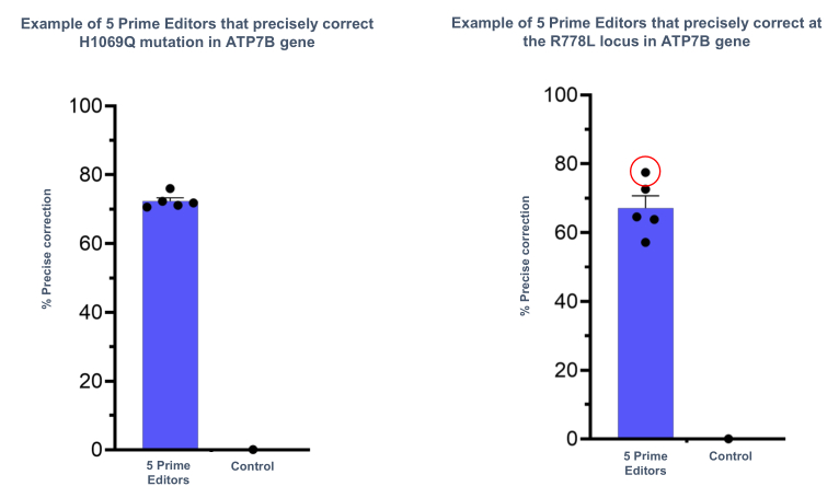 prme-20221231_g35.jpg
