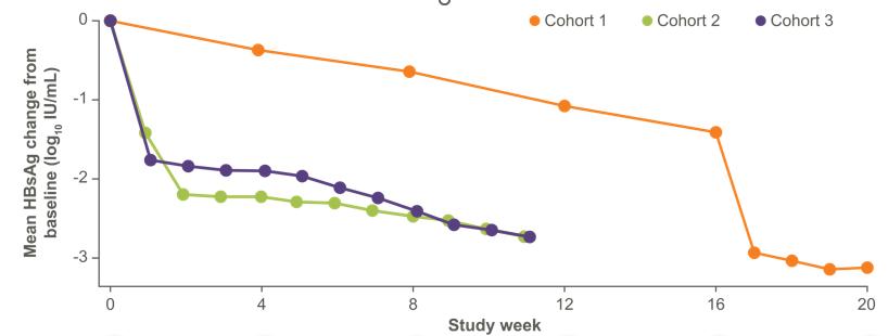 img62602283_11.jpg
