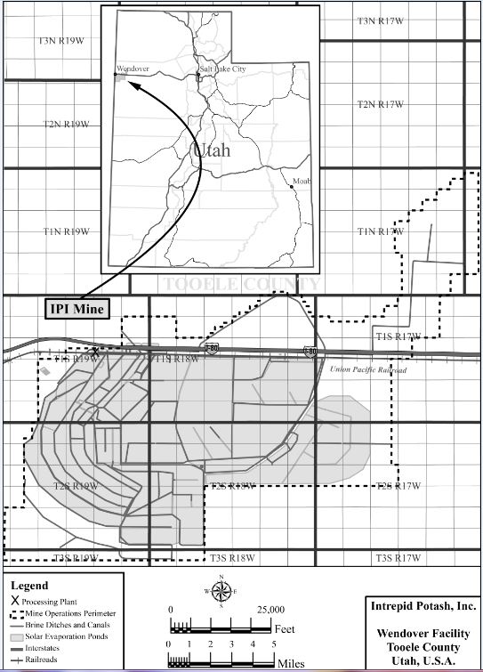 ipi-20211231_g4.jpg