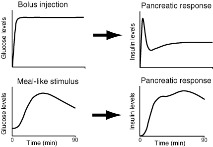 (GLUCOSE AND INSULIN LEVELS GRAPH)