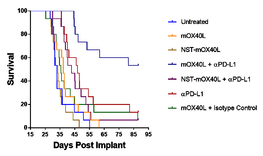 bx20.gif