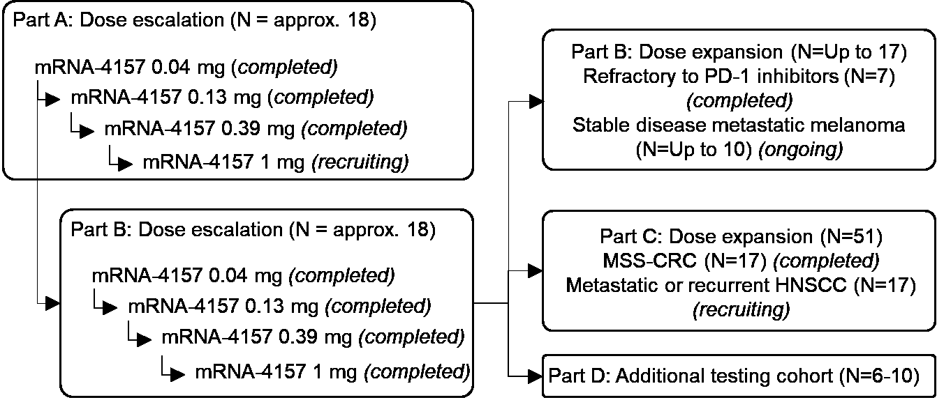 bx32.gif
