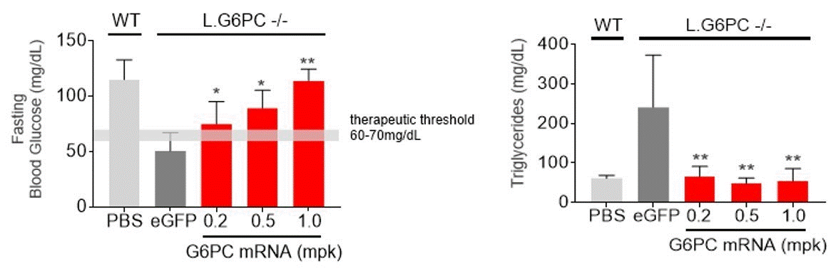 mrna-20201231_g42.gif