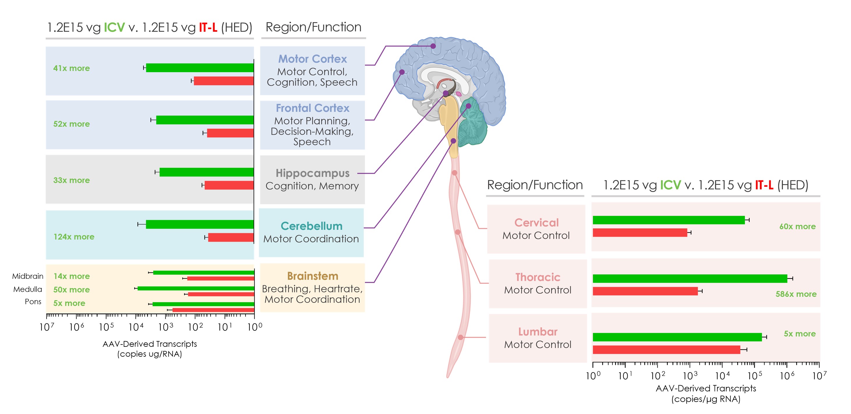 ICV Schematic for 10-Q.jpg