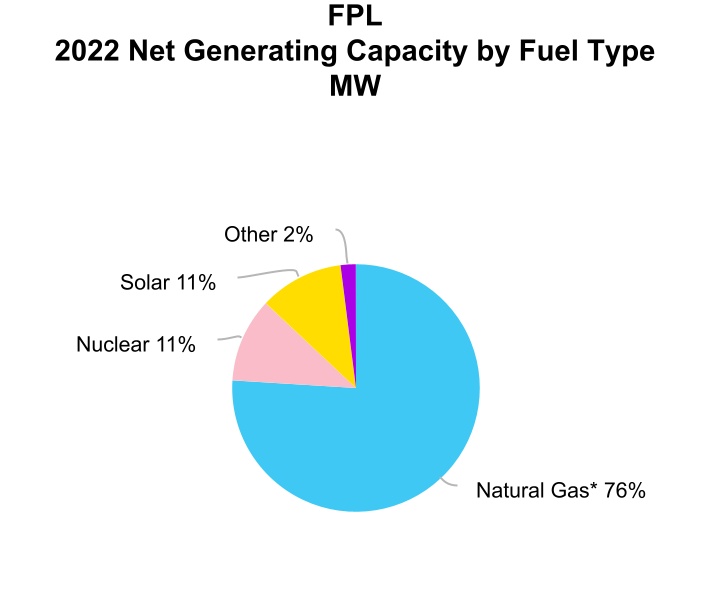 nee-20221231_g7.jpg