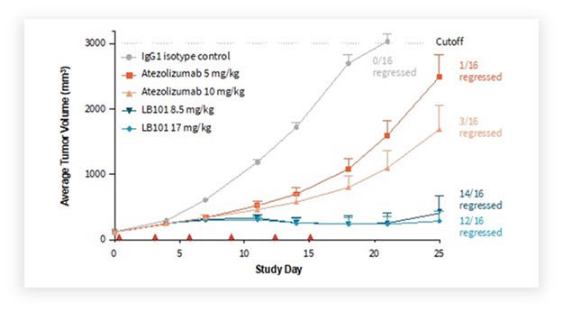 Fig 16.jpg