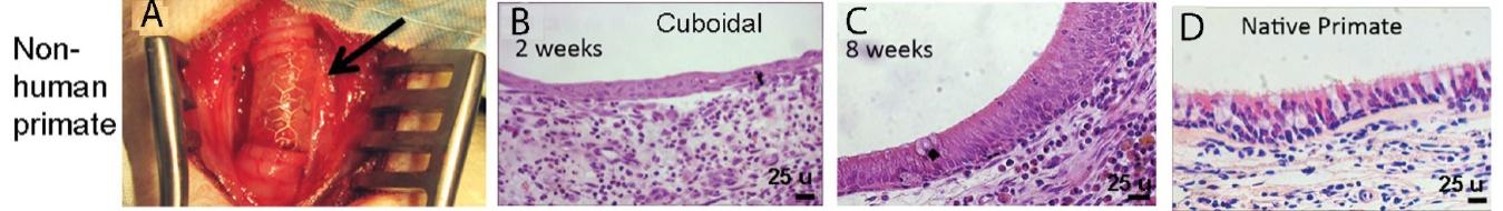 huma-20211231_g24.jpg