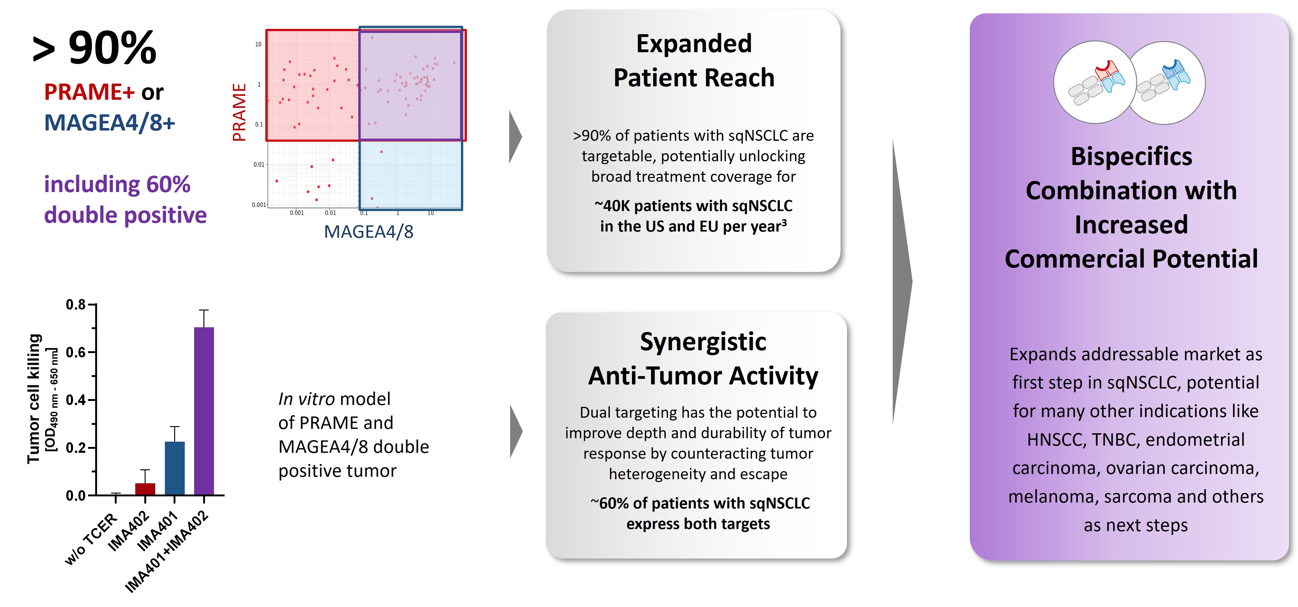img170558904_16.jpg