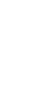 ing20f2021p100i2.gif