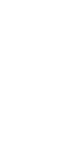 ing20f2021p100i4.gif