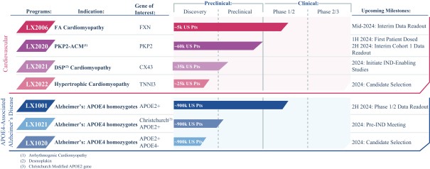 img33832565_0.jpg