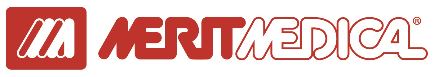a2017mmsilogoaa18.jpg