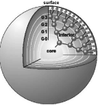 (NANOTRANSPORTER GRAPHIC)