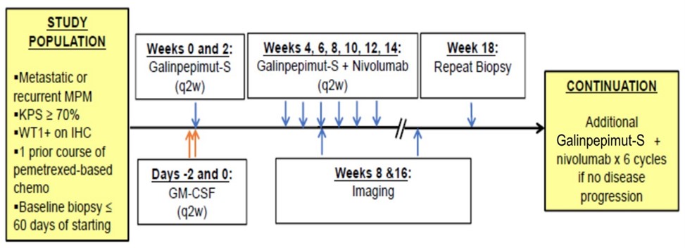 mpmschema.jpg