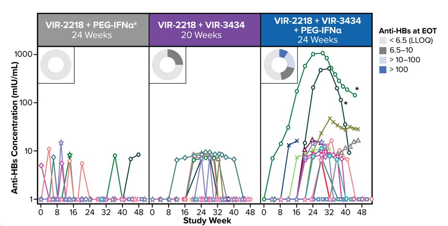 Anit-HBs.jpg