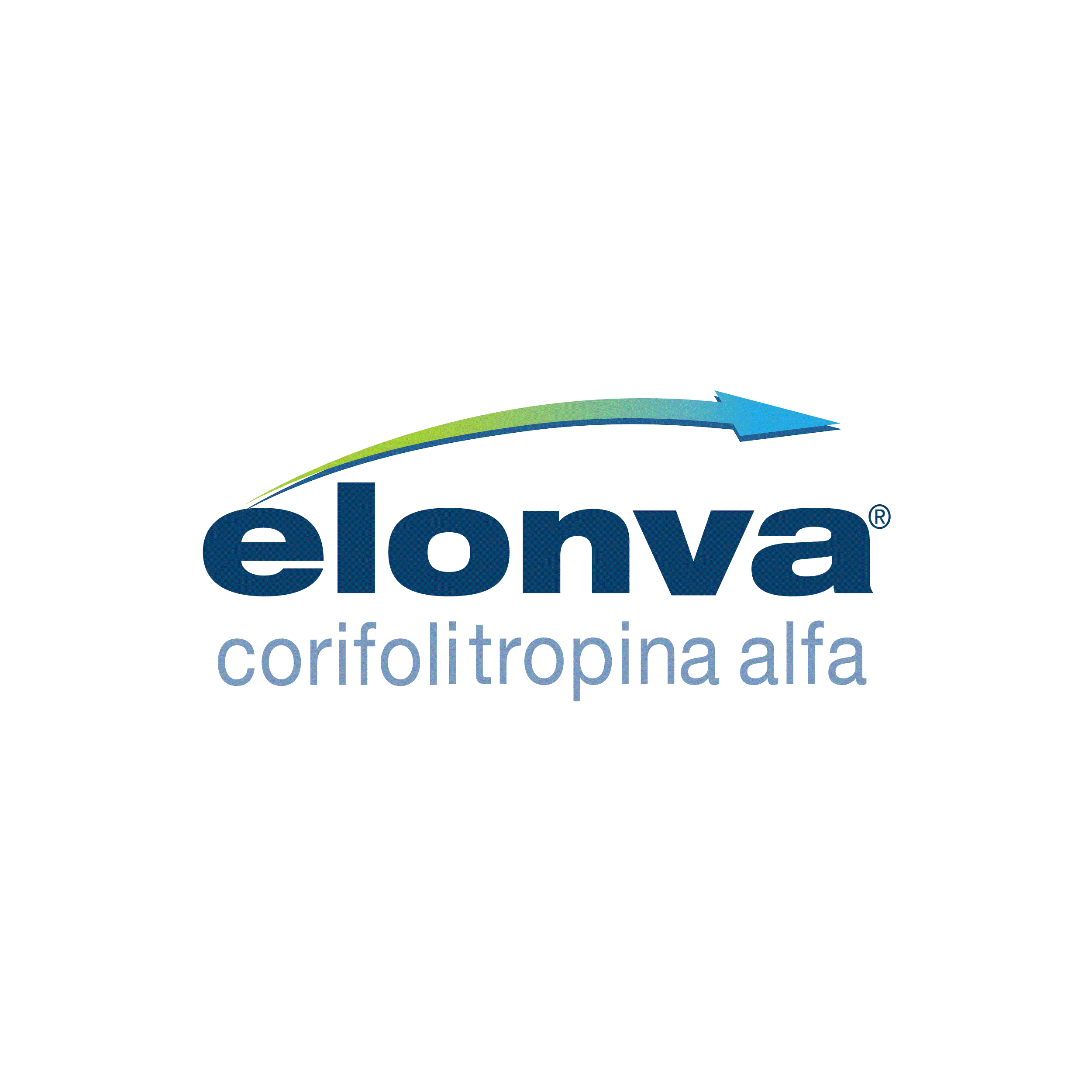 ogn-20211231_g10.gif