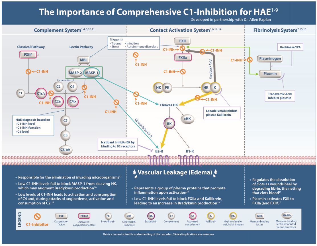 pharm-20201231_g2.jpg