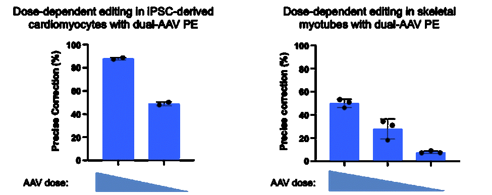 Image 21.gif