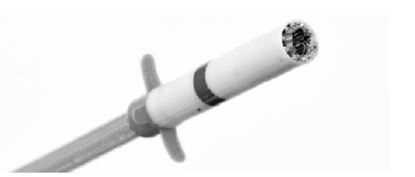 lung-20221231_g4.jpg