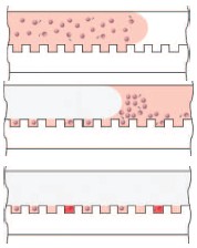 Graphic
