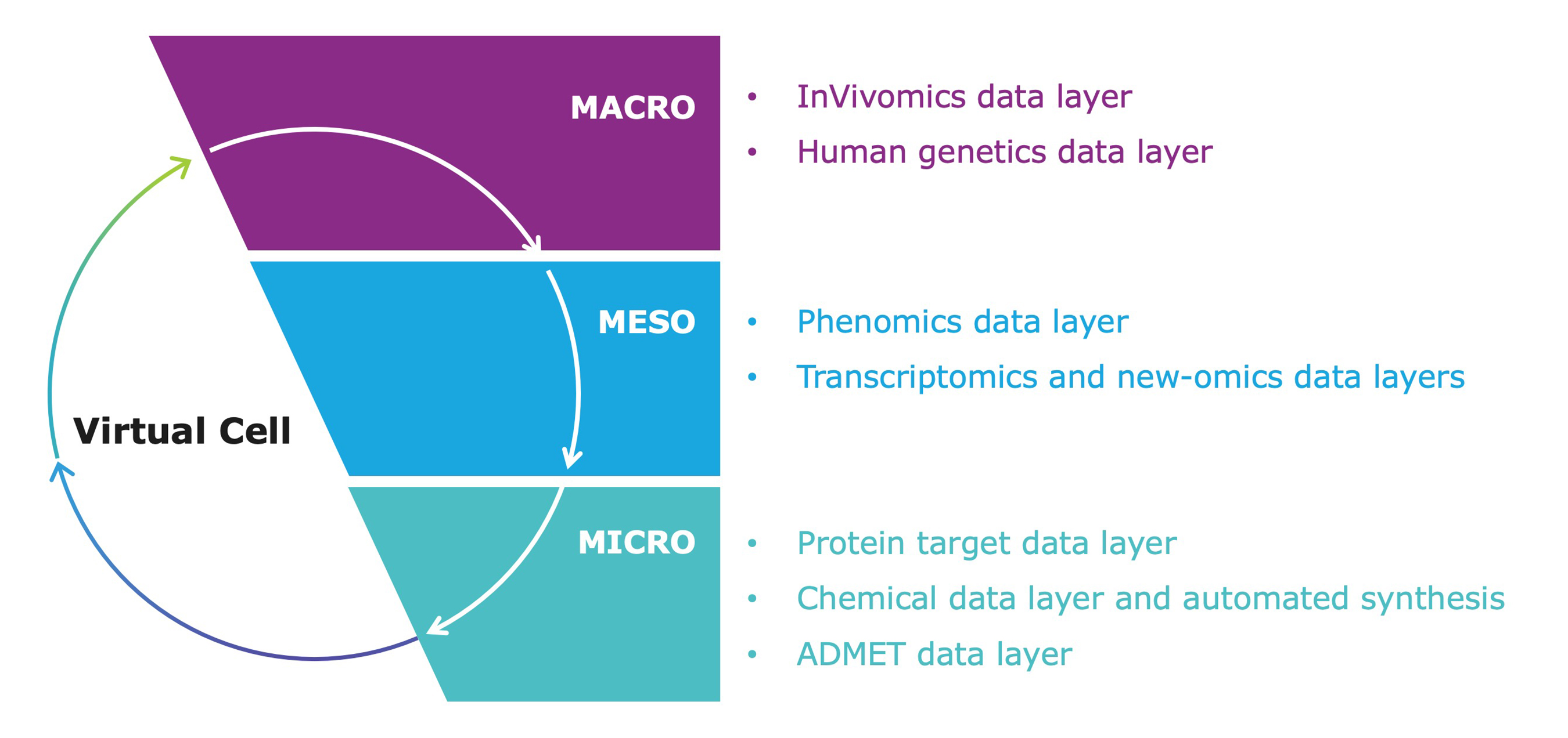 19_micro_meso_macro.jpg
