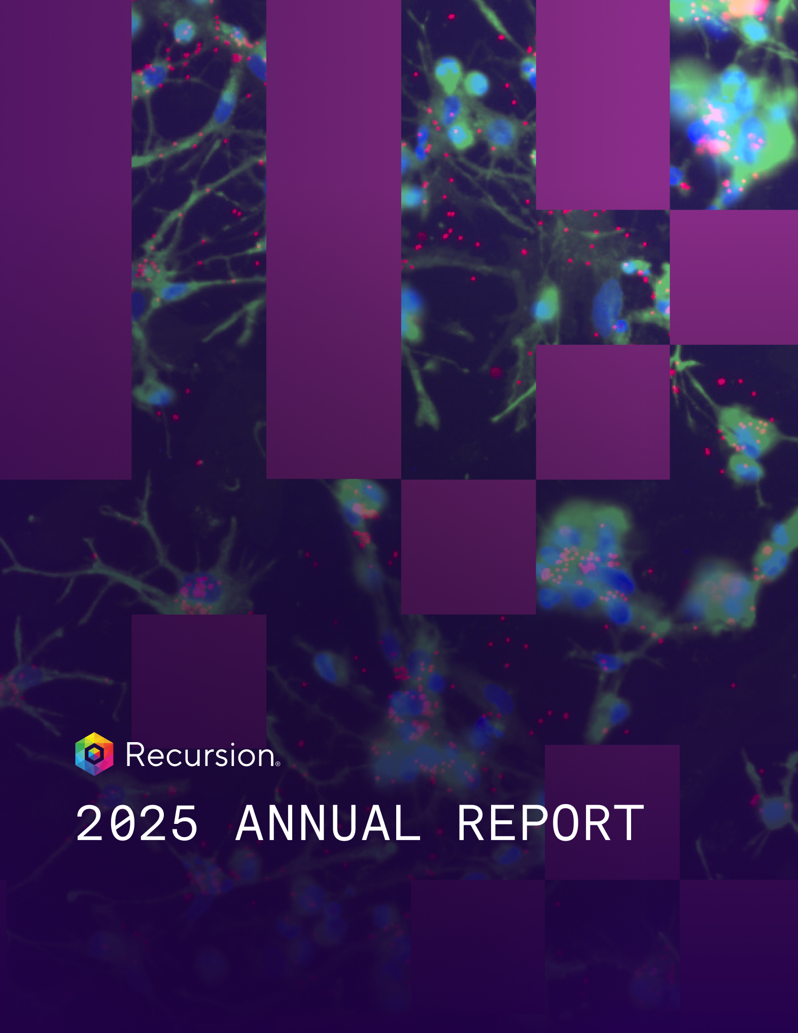recursion_10k-cover.jpg