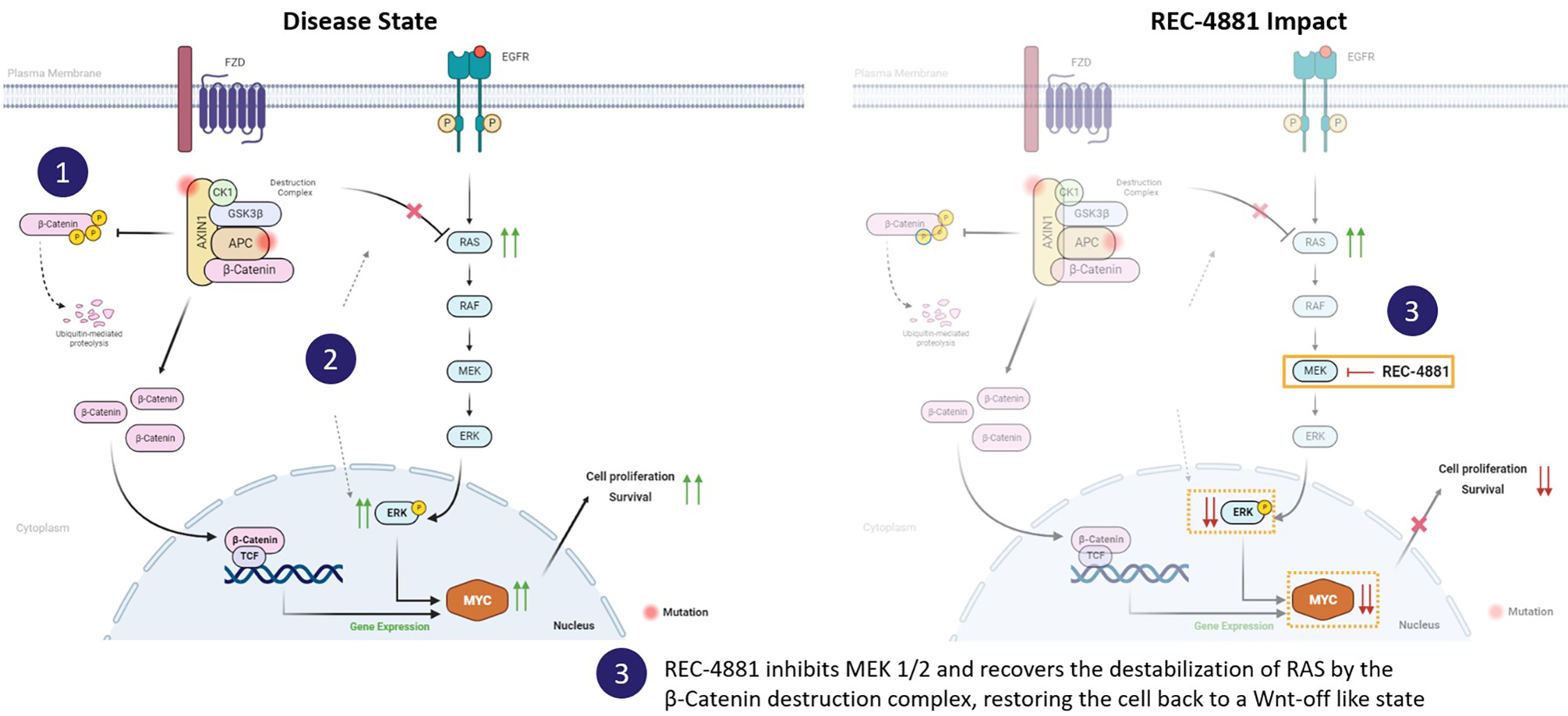 fig13_rec-4881moa.jpg