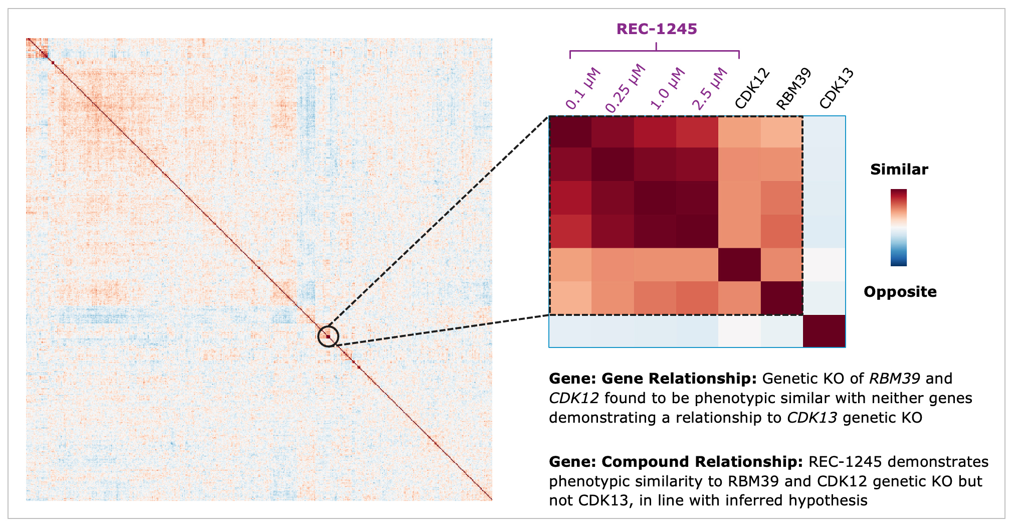 fig21_rec-1243rxosinsight.jpg