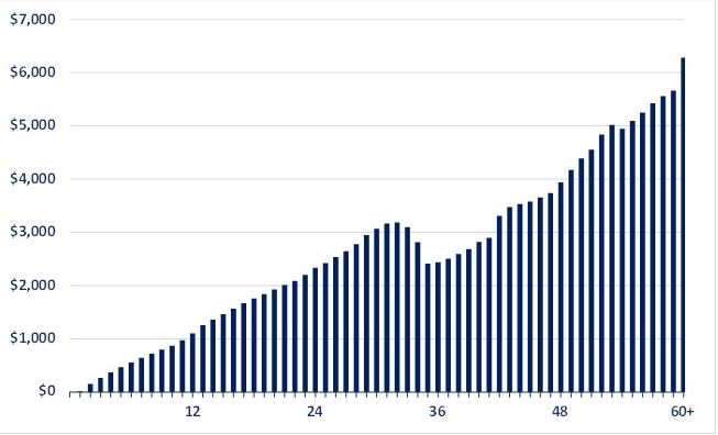 rsi-20221231_g2.jpg