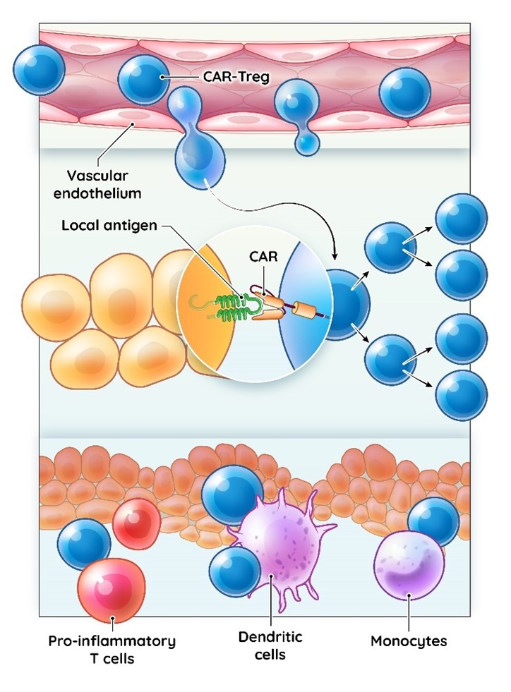 sgmo-20201231_g5.jpg