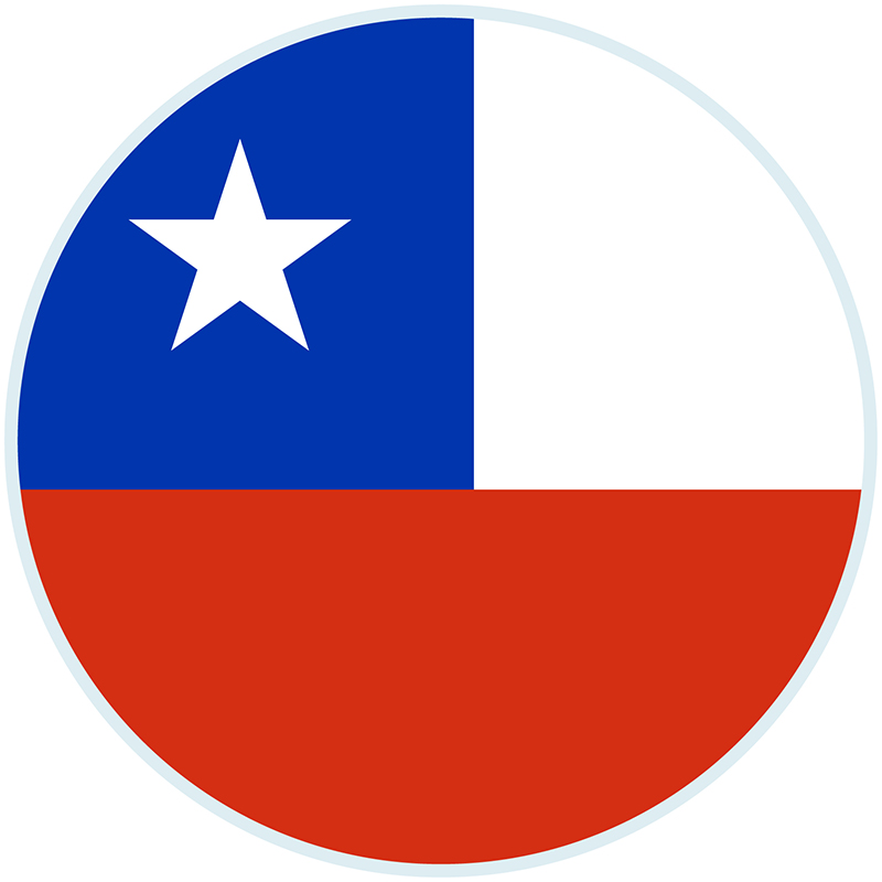 bandera_chilea05.jpg