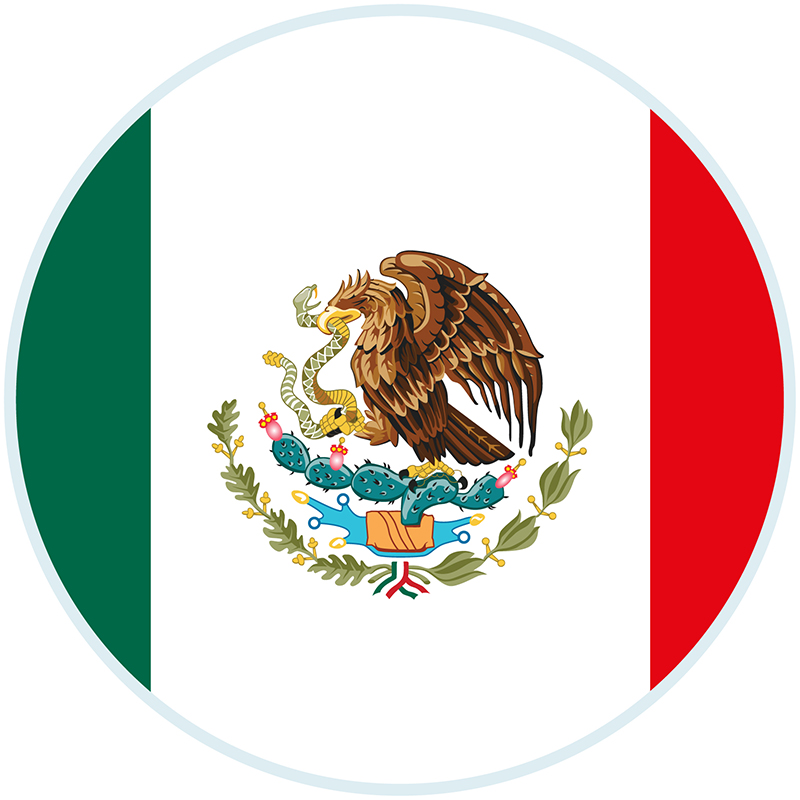 mexicomesadetrab1a06.jpg