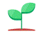 san-20201231_g350.gif