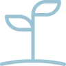 PlantLeaves.jpg