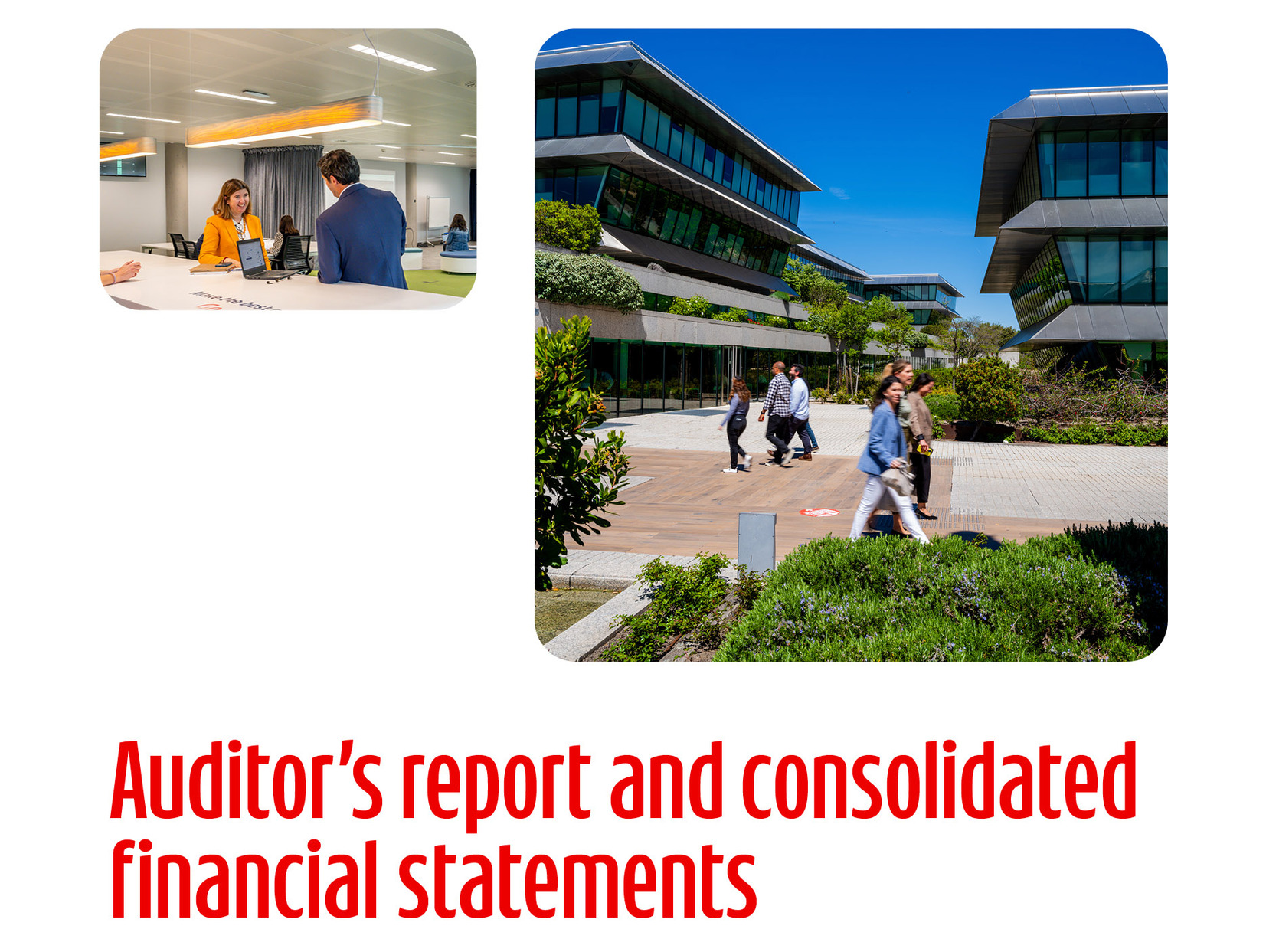 7.InfoAuditoriayCuentas_ENG.jpg