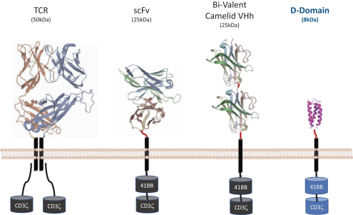 img181630753_5.jpg