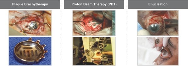 img250937961_2.jpg