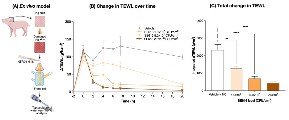 fig 10.jpg