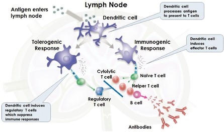 figure1a02.jpg