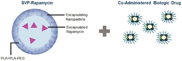 figure3.jpg