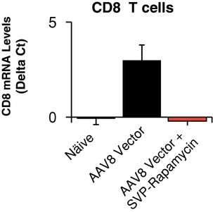 figure34.jpg