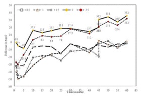 image03.jpg